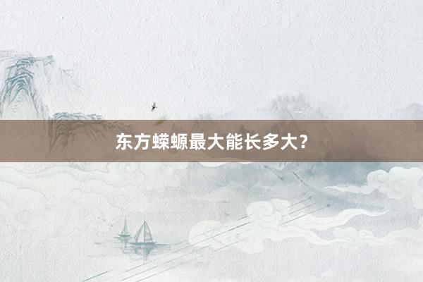 东方蝾螈最大能长多大？